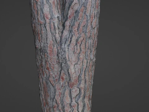 Pine Tree Trunk 3D Model