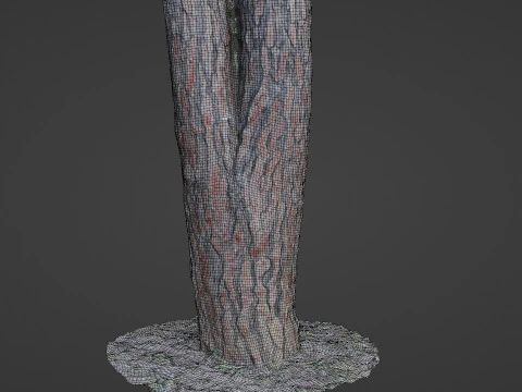 Pine Tree Trunk 3D Model