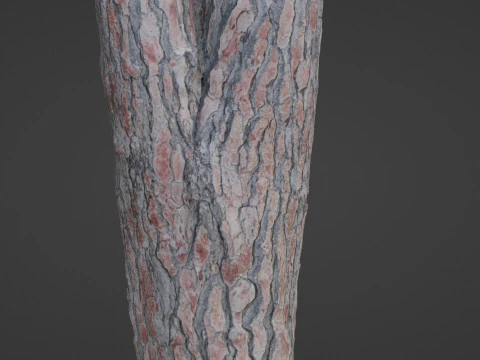 Pine Tree Trunk 3D Model