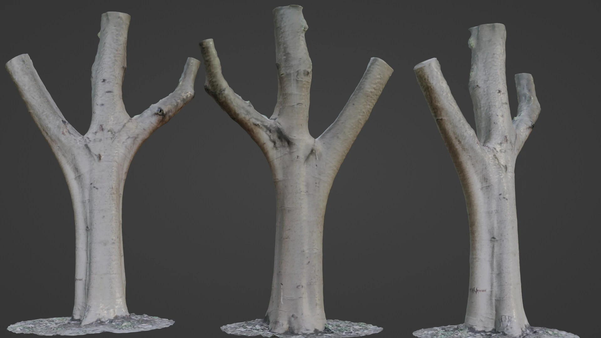 Tree trunk split scan 3D Model .c4d .max .obj .3ds .fbx .stl .blend 