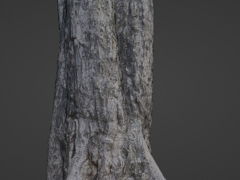 Tree Trunk 3D Modell