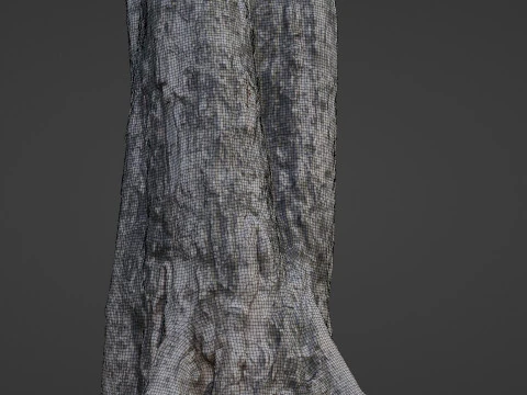 Tree Trunk 3D Model