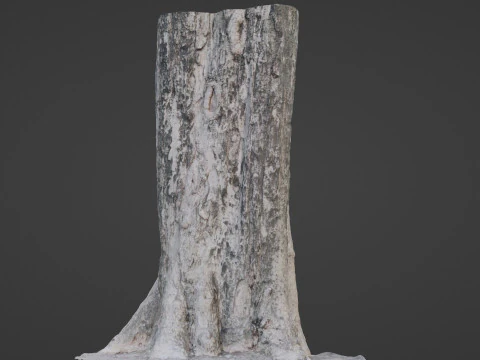 Tree Trunk 3D Model