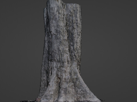 Tree Trunk 3D Modell