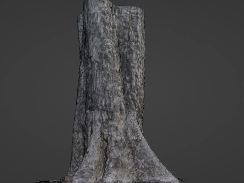 Tree Trunk 3D Model