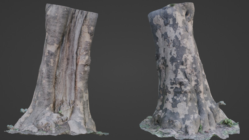Tree Bark 3D Model .c4d .max .obj .3ds .fbx .stl .blend 