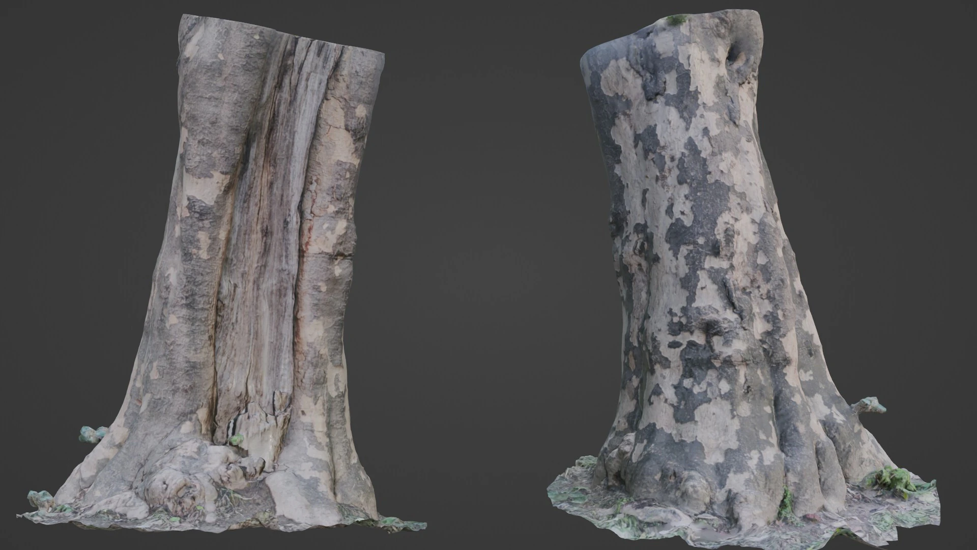 Tree Bark 3D Model .c4d .max .obj .3ds .fbx .stl .blend 