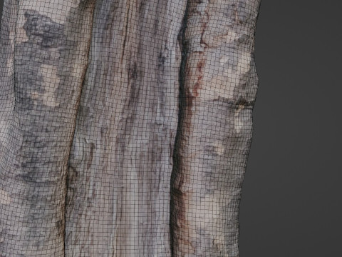 Tree Bark 3D Model