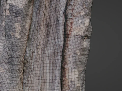 Tree Bark 3D Model