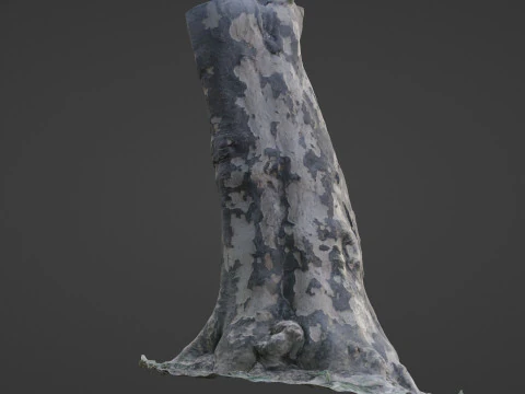 Tree Bark 3D Model