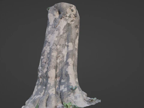 Tree Bark 3D Model