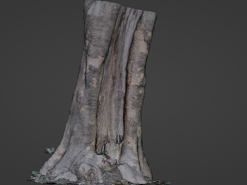 Tree Bark 3D Model