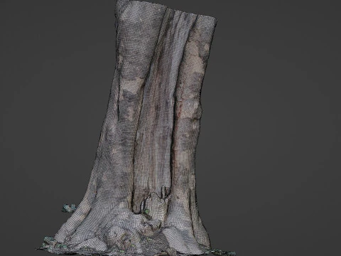 Tree Bark 3D Model