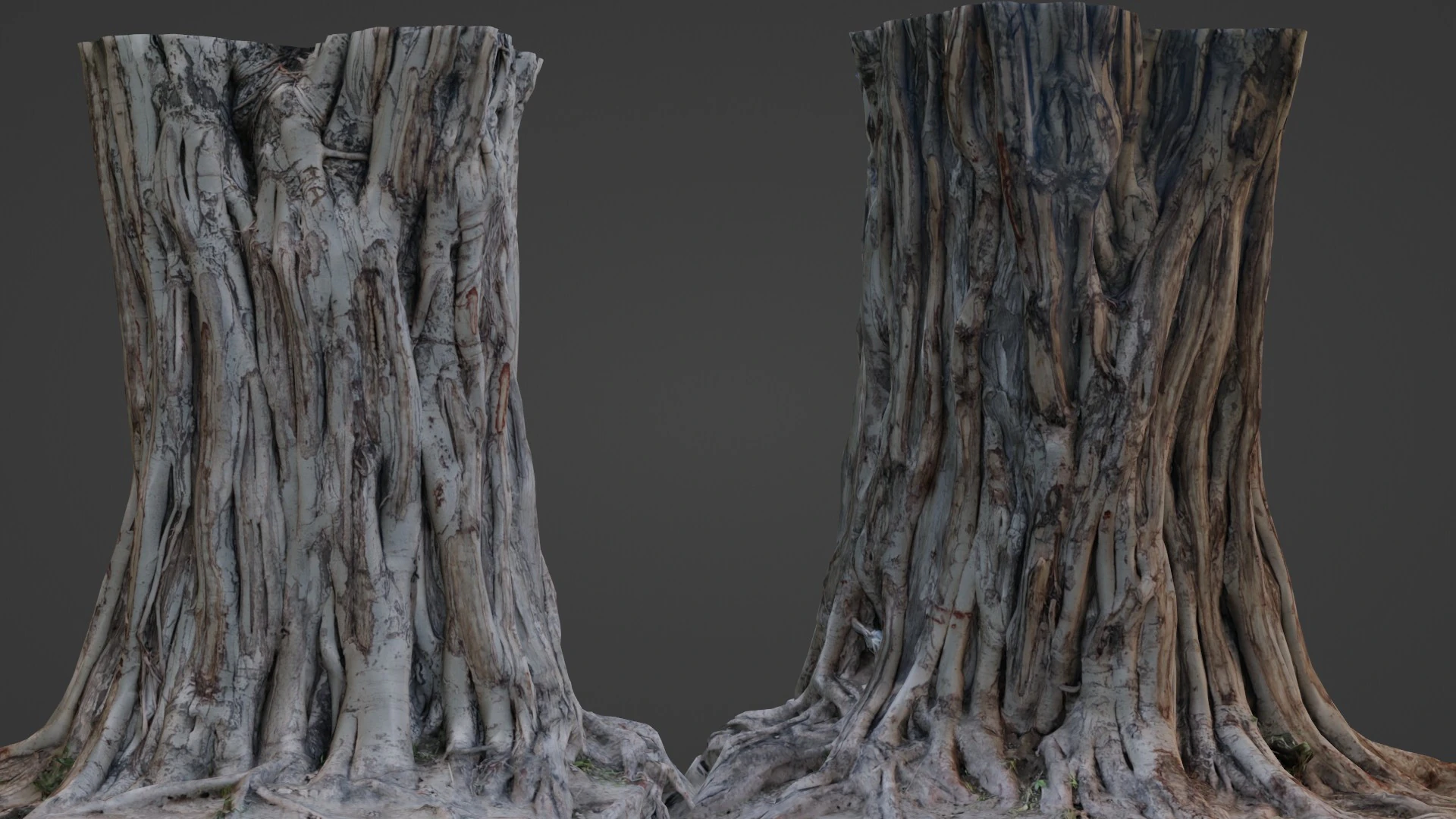 Tree Trunk 3D Model .c4d .max .obj .3ds .fbx .stl .blend 