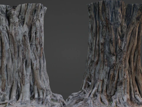 Tree Trunk 3D Model