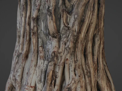 Tree Trunk 3D Model
