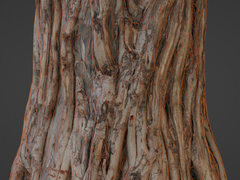 Tree Trunk Modelo 3D