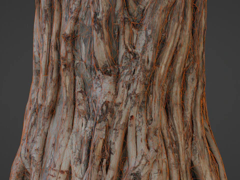 Tree Trunk 3D Model