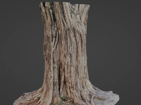 Tree Trunk 3D Model