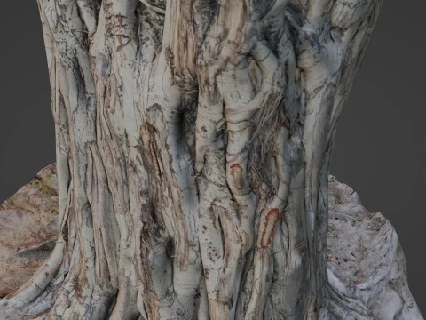 Tree Trunk 3D Model