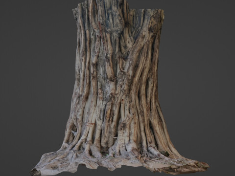 Tree Trunk Modelo 3D