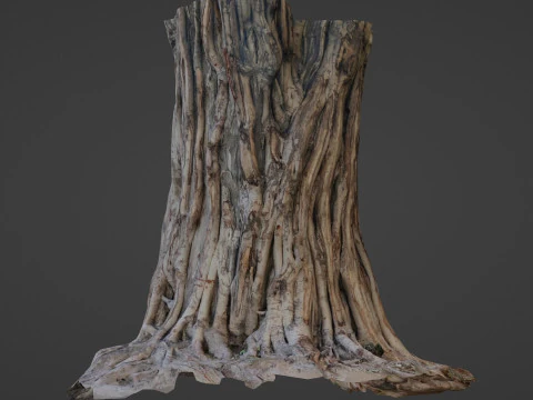 Tree Trunk 3D Model