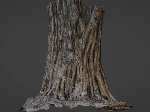 Tree Trunk 3D Model