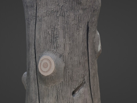 Log Stylized Modelo 3D