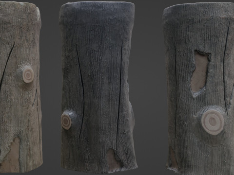 Stylized Log Modèle 3D