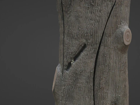 Stylized Log 3D Model