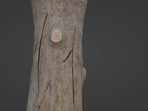 Stylized Log 3D 模型
