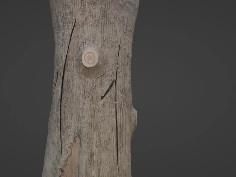 Stylized Log 3D Model