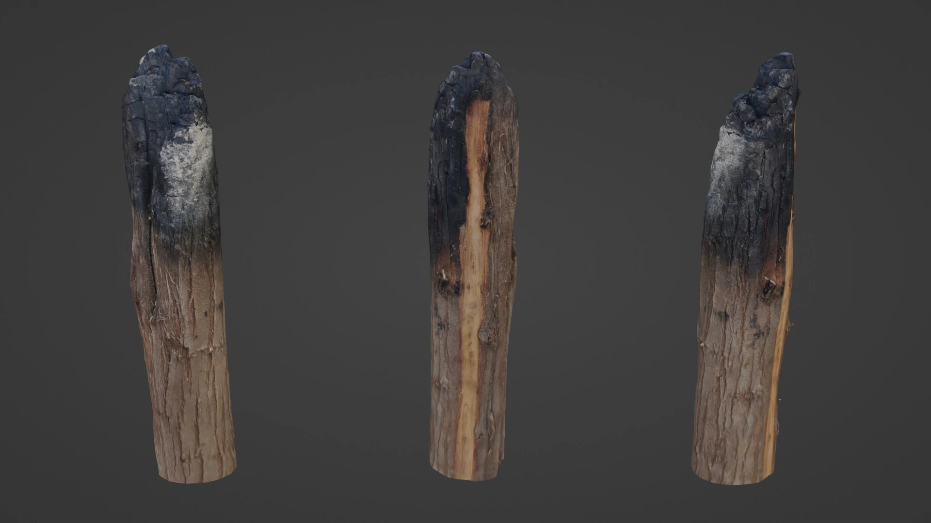 Burned Trunk Scan 3D Model .c4d .max .obj .3ds .fbx .stl .blend 