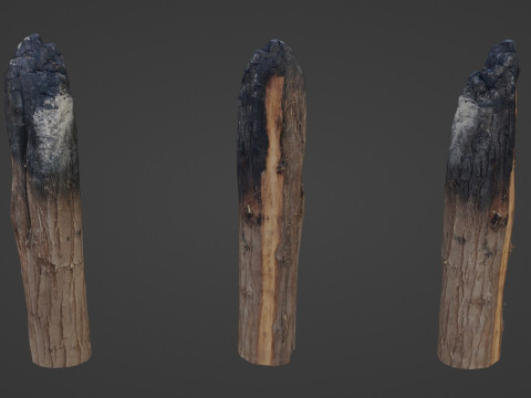 Burned Trunk Scan 3D-Modell