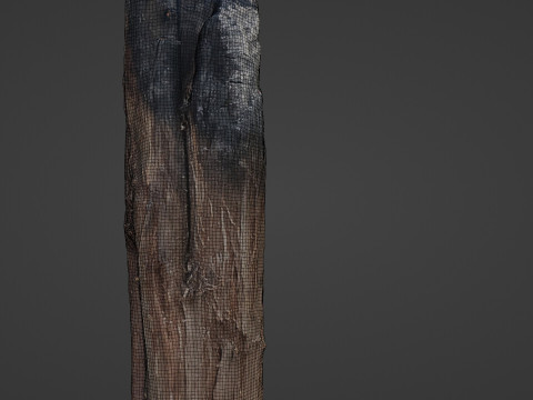 Burned Trunk Scan 3D 모델