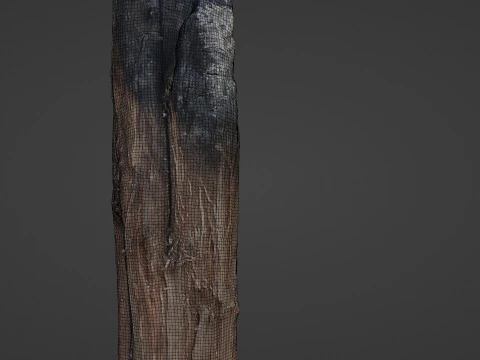 Burned Trunk Scan 3D Model