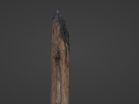 Burned Trunk Scan 3D 모델