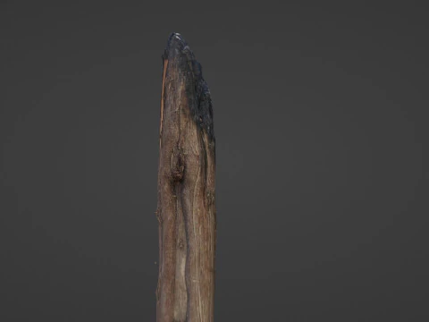 Burned Trunk Scan 3D Model