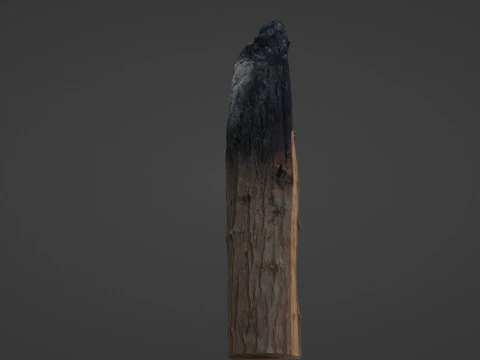 Burned Trunk Scan 3D Model