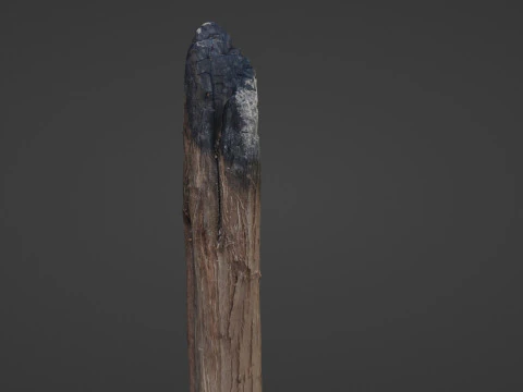 Burned Trunk Scan 3D Model