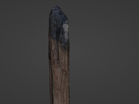 Burned Trunk Scan 3D 모델