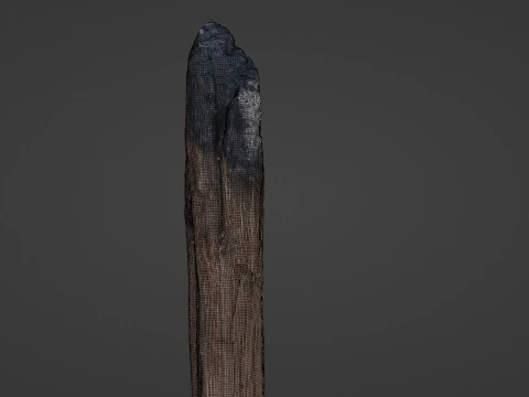 Burned Trunk Scan 3D Model