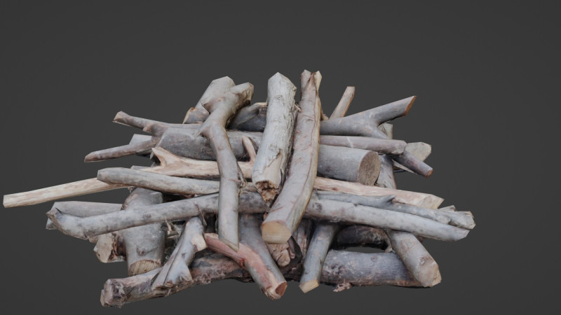 Bundel Of Wooden Logs Modèle 3D .c4d .max .obj .3ds .fbx .stl .blend