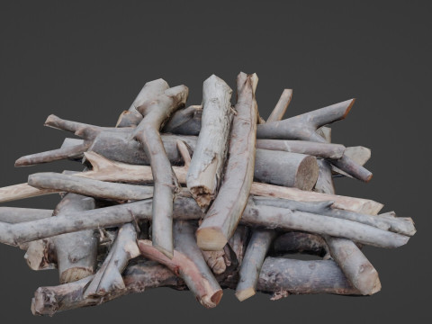 Bundel Of Wooden Logs 3D मॉडल