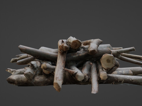 Bundel Of Wooden Logs Modèle 3D