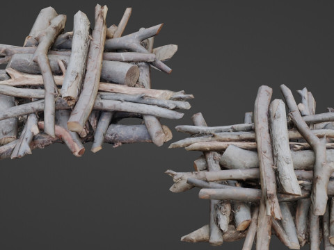 Bundel Of Wooden Logs Modèle 3D