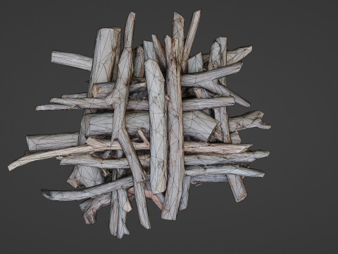Bundel Of Wooden Logs Modèle 3D