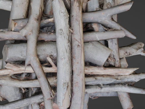 Bundel Of Wooden Logs Modèle 3D