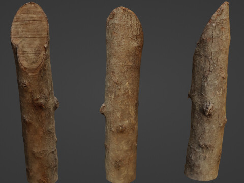 Log Modèle 3D