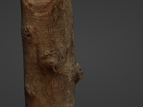 Log 3D 模型